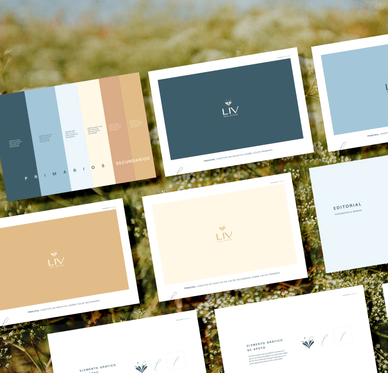 Liv Real Estate | Imagen Liv Real Estate