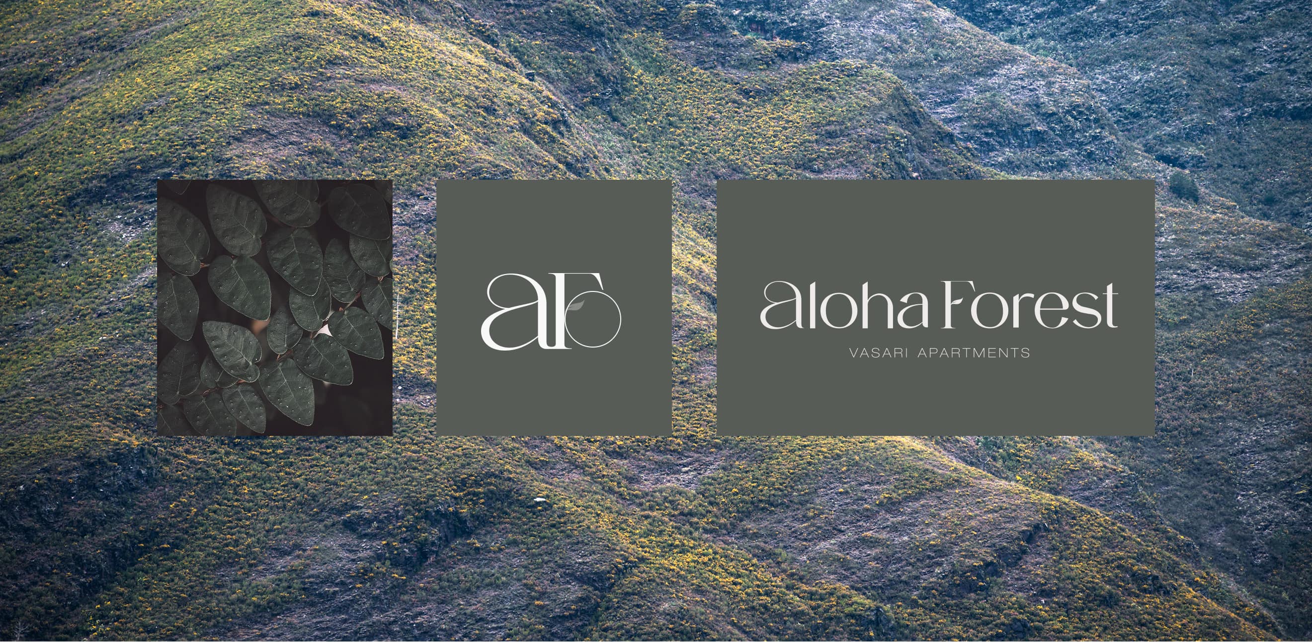 Aloha Forest | Imagen Aloha Forest