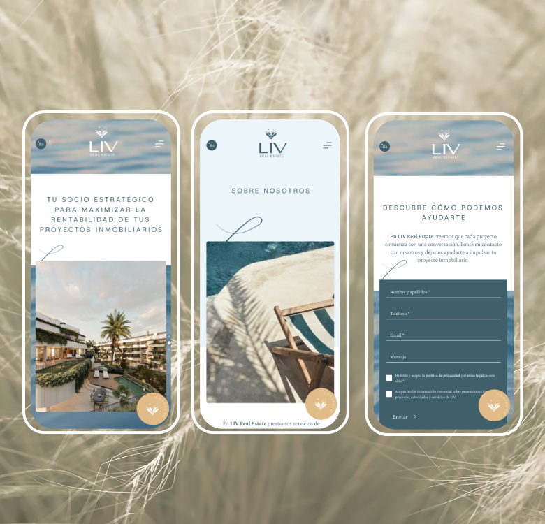 Liv Real Estate | Imagen Liv Real Estate